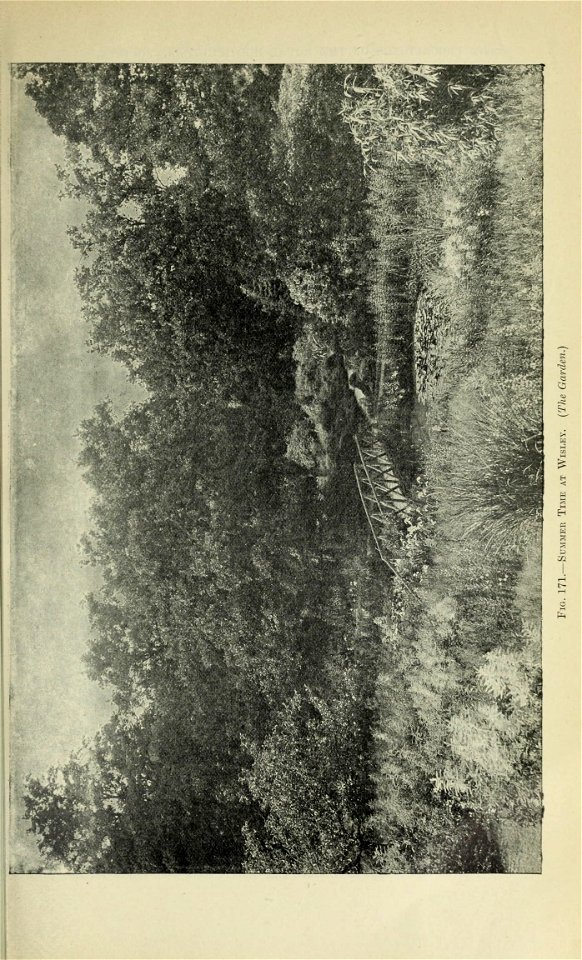 n946_w1150