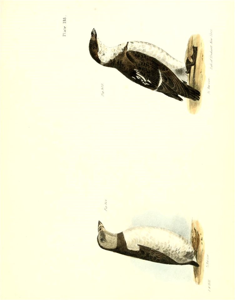 n672_w1150