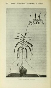n509_w1150