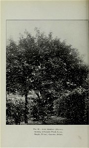 n377_w1150