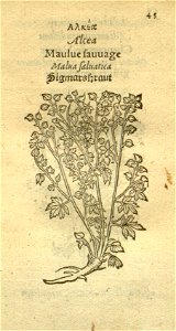 n67_w1150