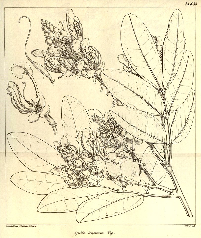 n629_w1150