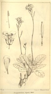 n599_w1150