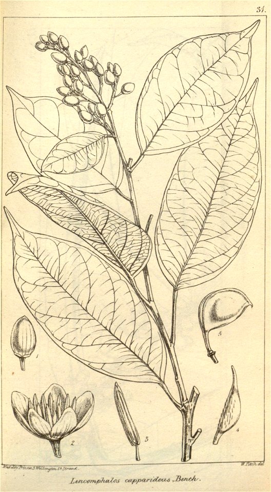 n627_w1150