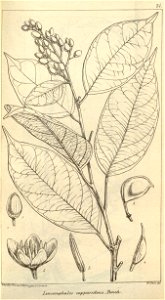 n627_w1150