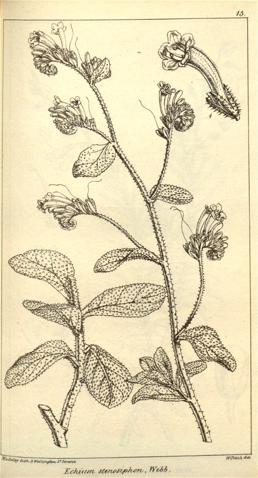 n612_w1150