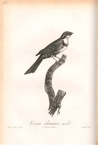 n145_w1150