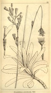 n608_w1150