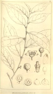 n622_w1150