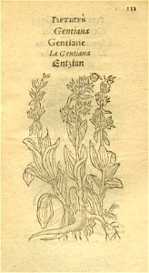 n133_w1150