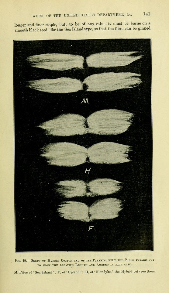 n156_w1150