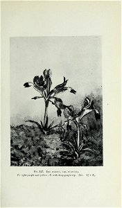 n524_w1150