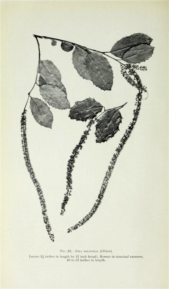 n87_w1150