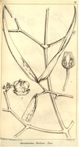 n611_w1150