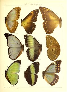 n148_w1150