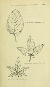 n164_w1150