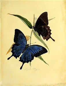 n88_w1150