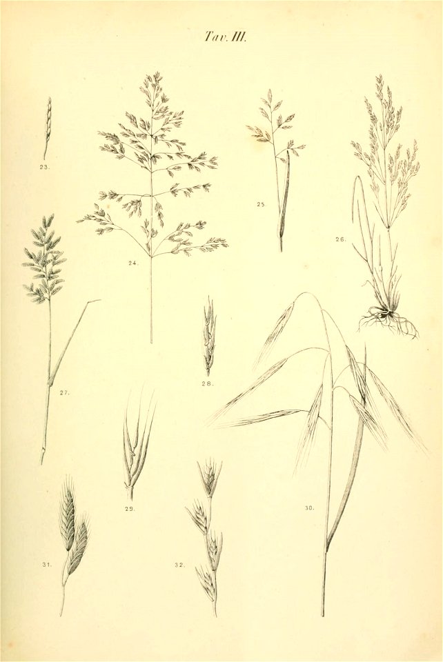 n698_w1150
