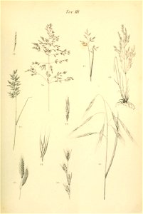 n698_w1150