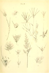 n696_w1150