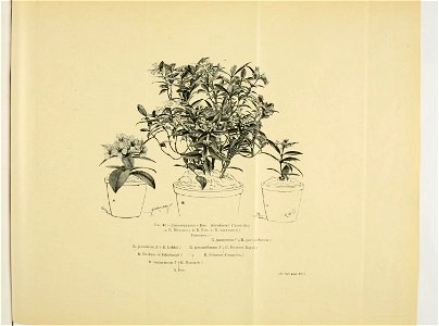 n133_w1150