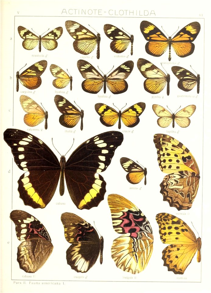 n176_w1150