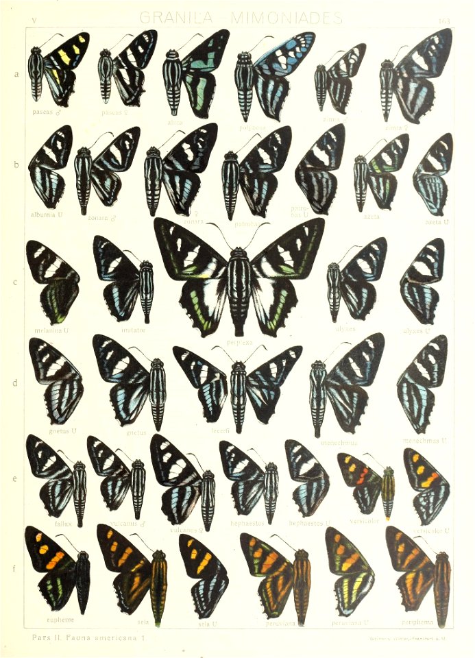 n354_w1150