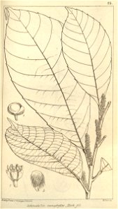 n621_w1150