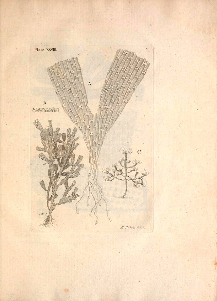 n166_w1150