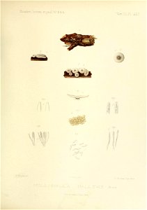 n290_w1150