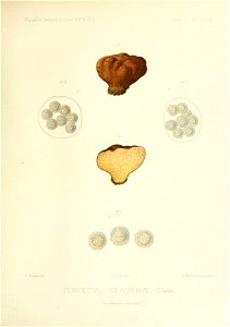 n318_w1150