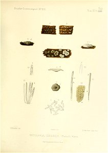 n258_w1150