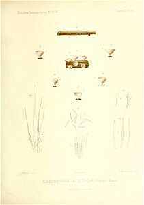 n198_w1150