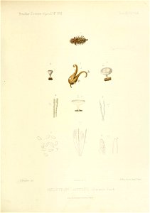 n168_w1150