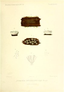 n108_w1150
