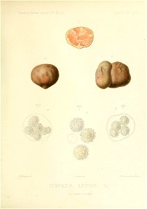n316_w1150