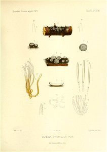 n256_w1150