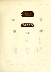 n226_w1150