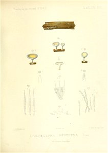 n196_w1150