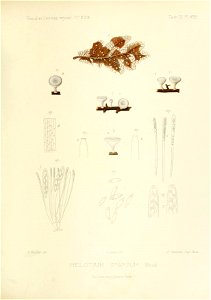 n166_w1150