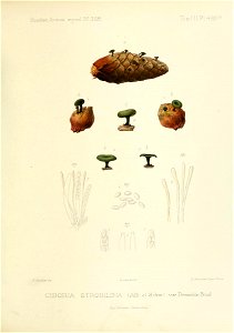 n136_w1150