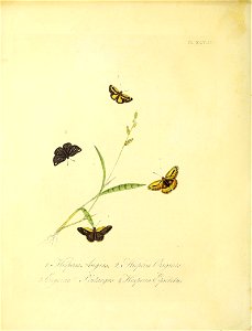 n183_w1150