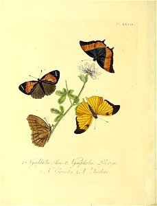 n127_w1150