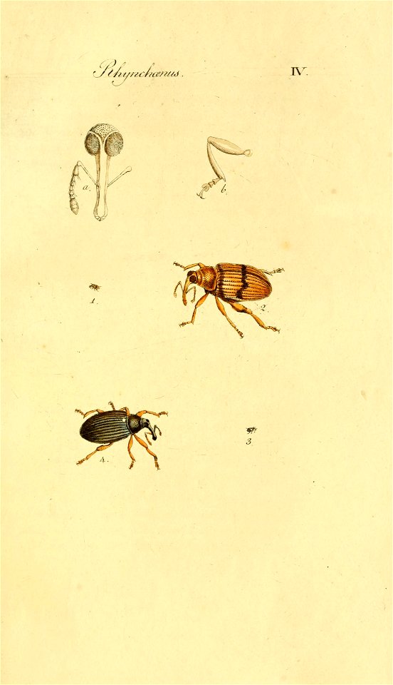 n82_w1150