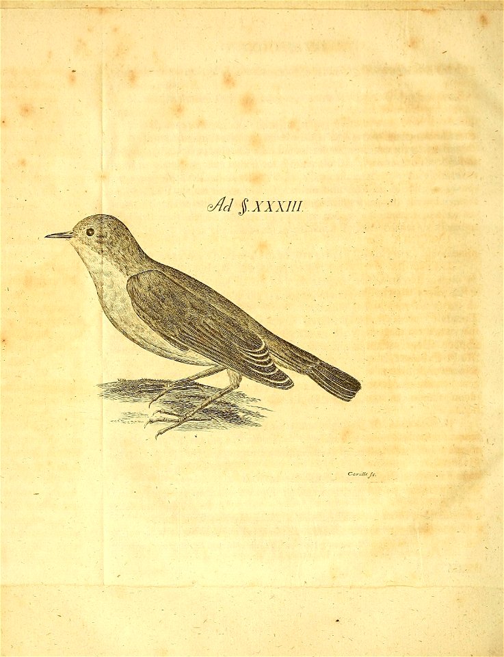 n103_w1150