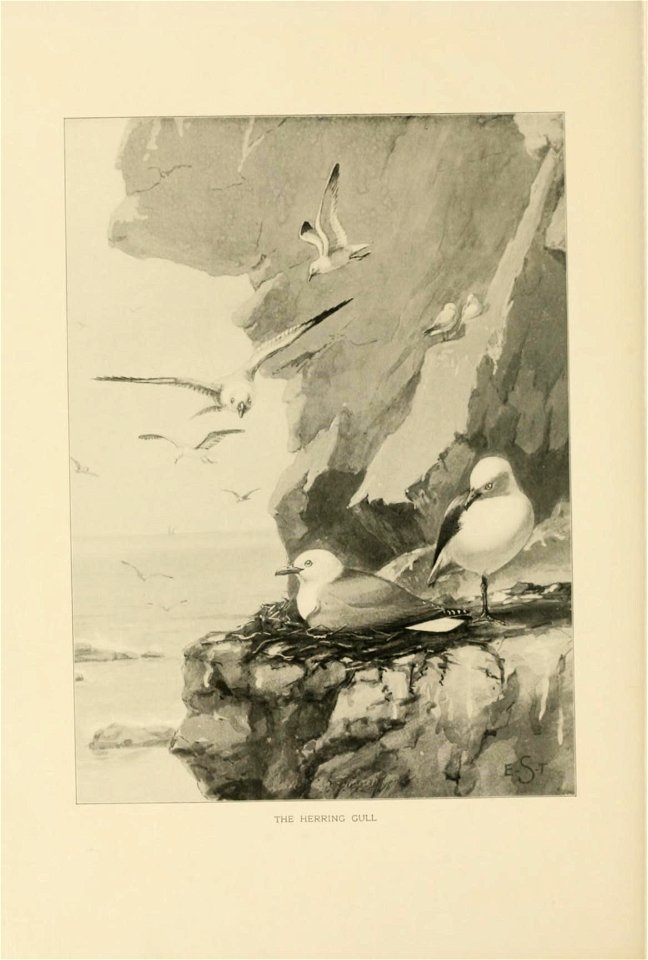 n85_w1150
