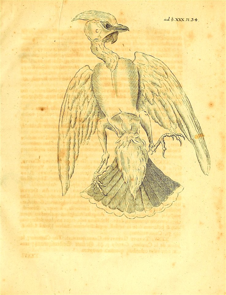 n96_w1150