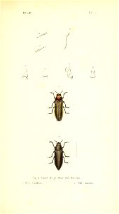 n102_w1150