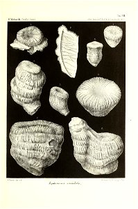 n44_w1150