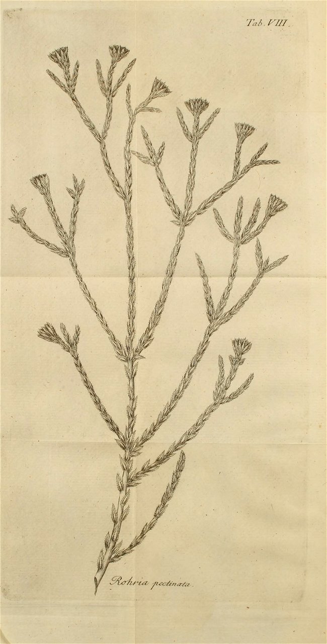 n268_w1150